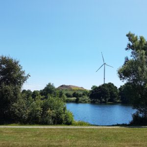 Idylle zwischen Stadt und Land – der Waller Feldmarksee